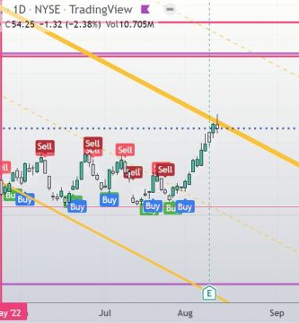 UNITY se revaloriza el 100% en 12 sesiones